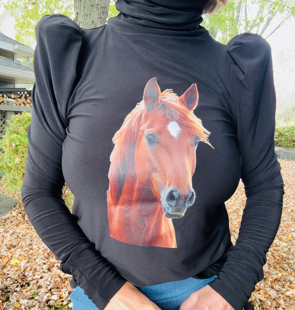Col roulé noir cheval